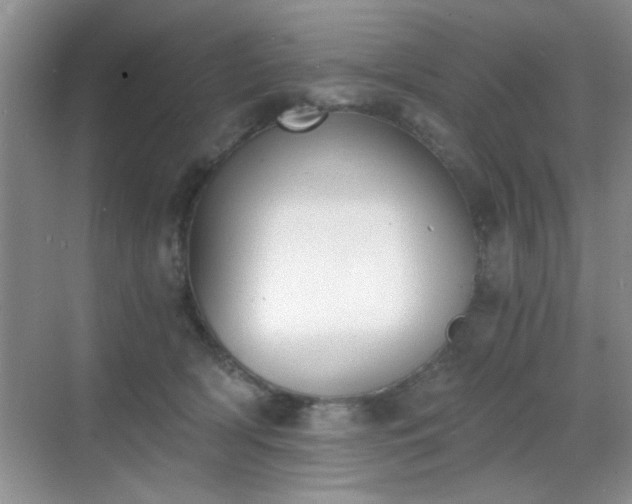 X0000068830418200605081218