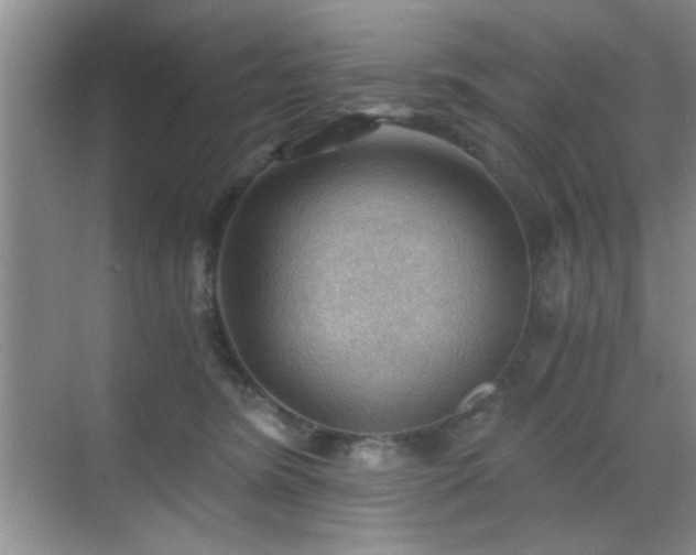 X0000068830420200605081218