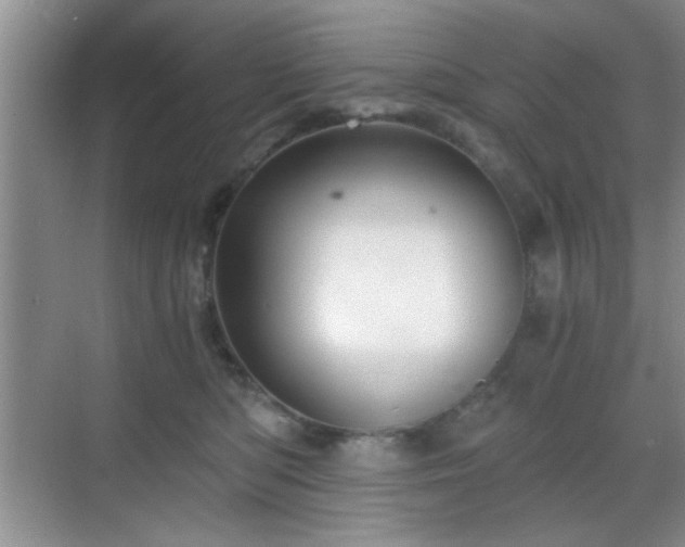 X0000068830422200605081218