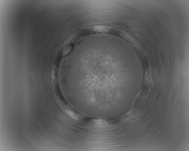 X0000068830424200605081218