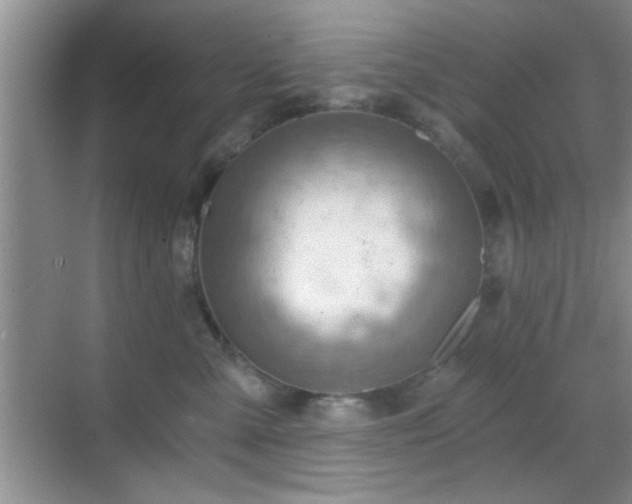 X0000068830427200605081218