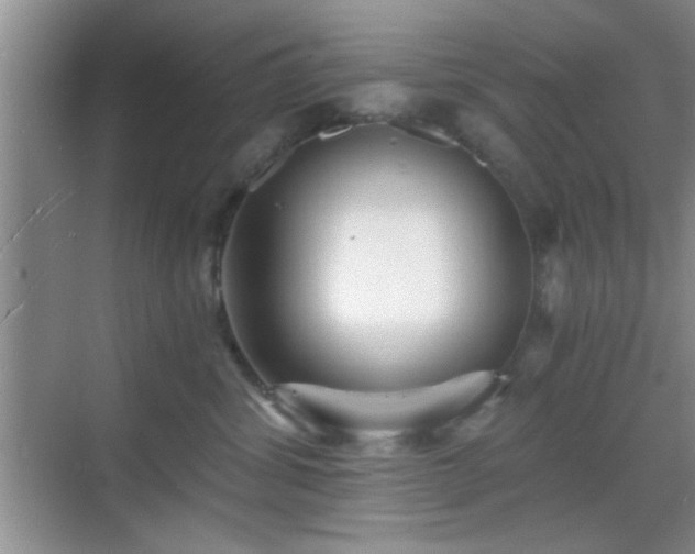 X0000068830428200605081218