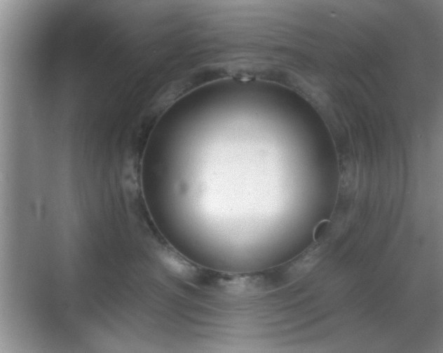 X0000068830430200605081218