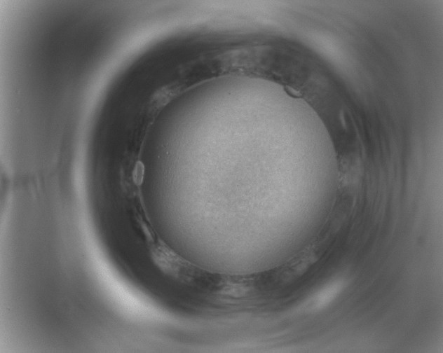 X0000068830431200605081218