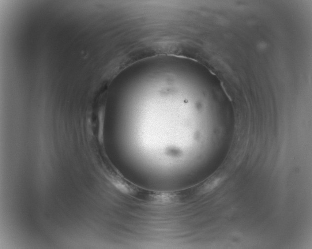 X0000068830432200605081218