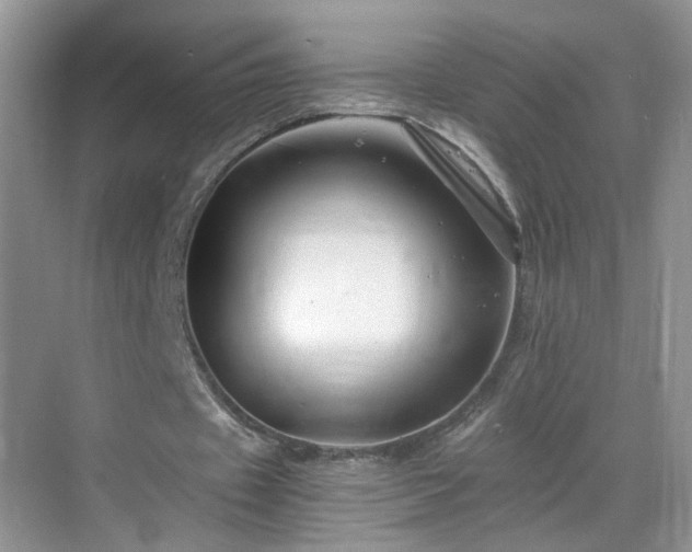 X0000068830433200605081217