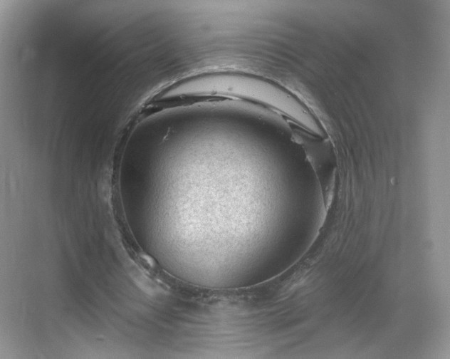 X0000068830434200605081217