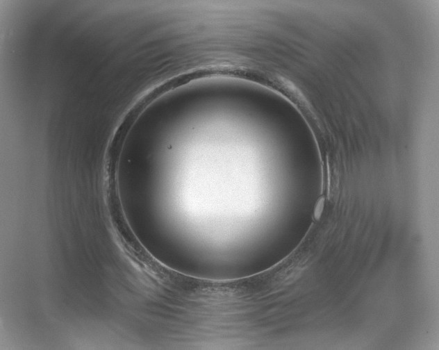 X0000068830435200605081217