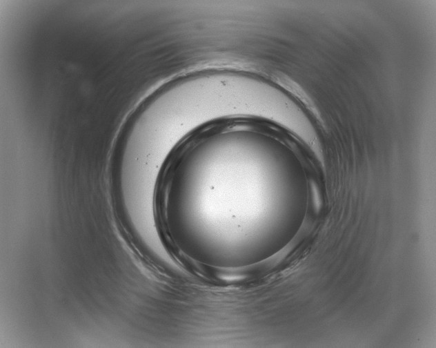 X0000068830436200605081217