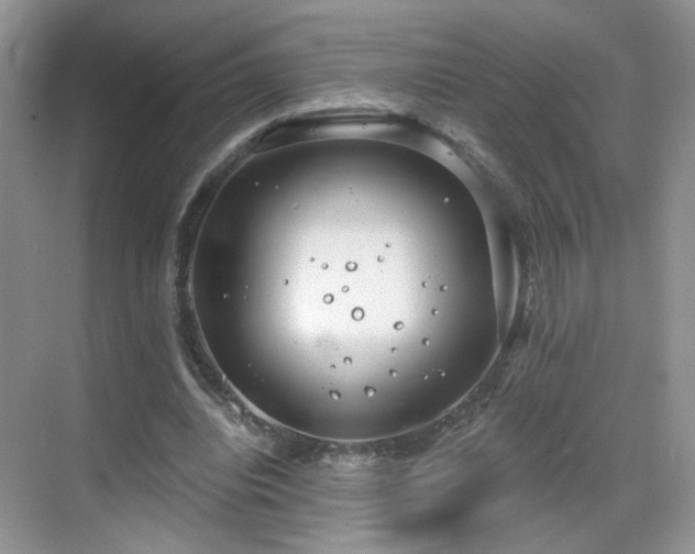 X0000068830440200605081217