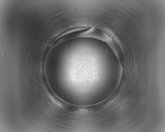 X0000068830441200605081217