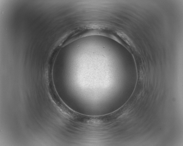 X0000068830444200605081217