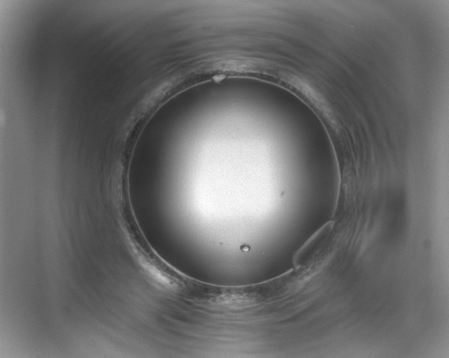 X0000068830445200605081217