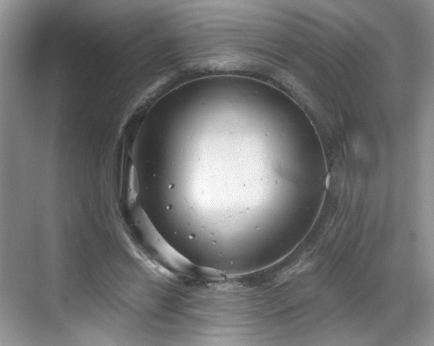 X0000068830446200605081217