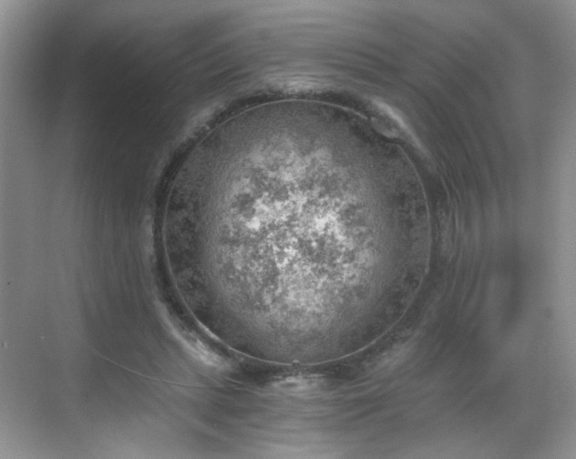 X0000068830447200605081217