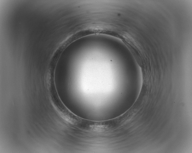 X0000068830448200605081217