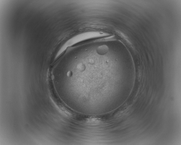 X0000068830451200605081217