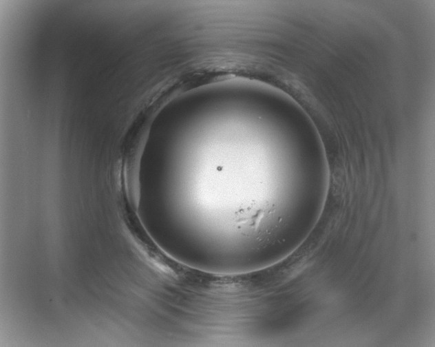 X0000068830454200605081218