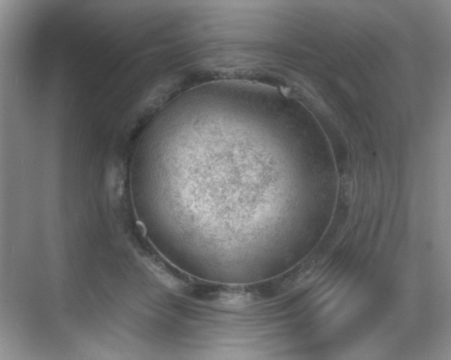 X0000068830458200605081218