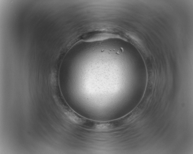 X0000068830461200605081218