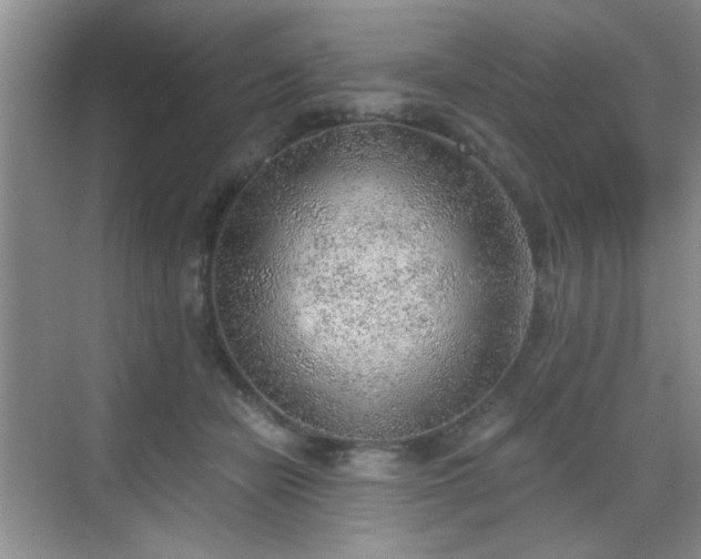 X0000068830462200605081218