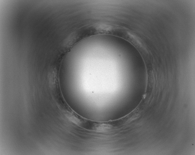 X0000068830463200605081218