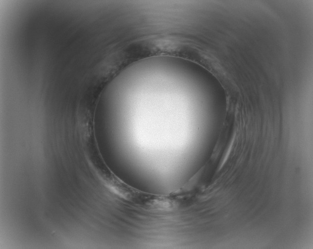 X0000068830464200605081218