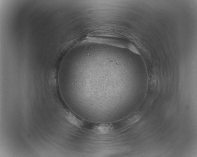 X0000068830466200605081218