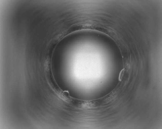 X0000068830468200605081218