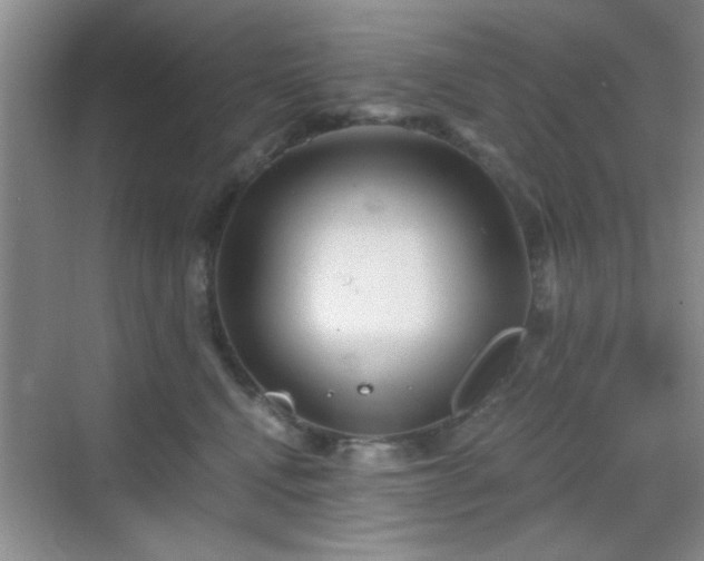 X0000068830472200605081218