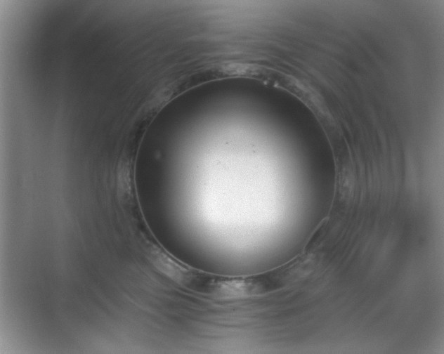 X0000068830473200605081218