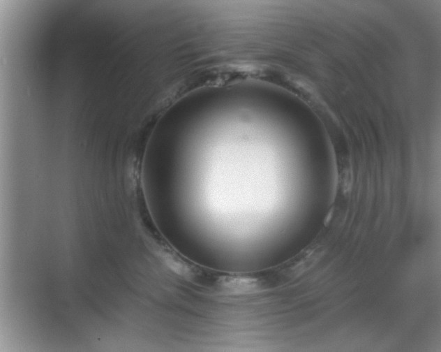 X0000068830476200605081218