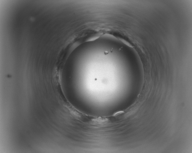 X0000068830480200605081218