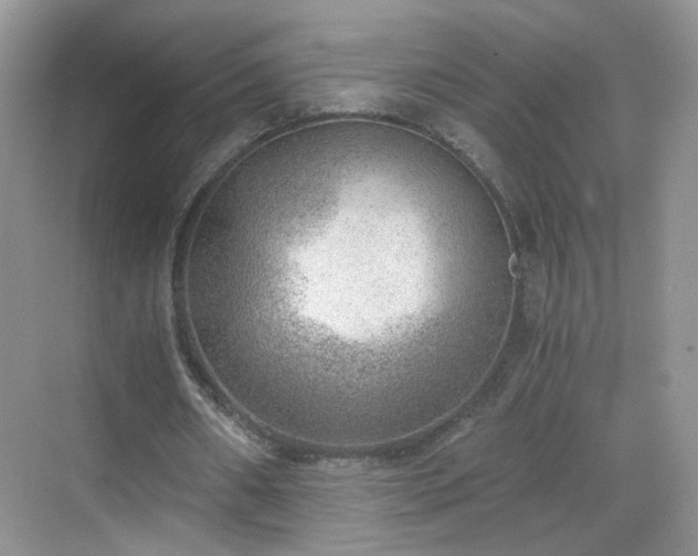 X0000068830482200605081217