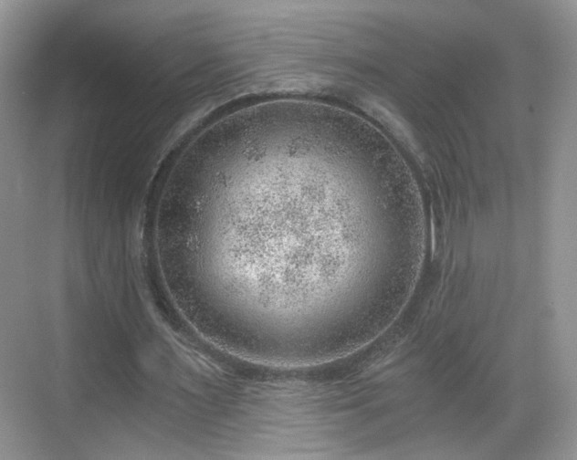 X0000068830483200605081217