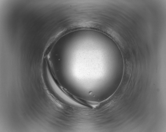 X0000068830486200605081217