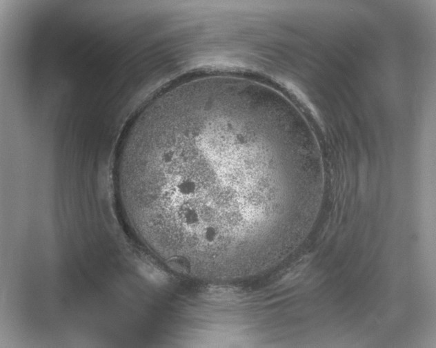 X0000068830487200605081217