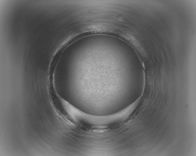 X0000068830488200605081217