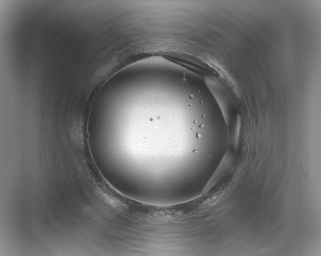 X0000068830489200605081217