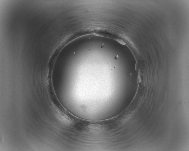 X0000068830490200605081217