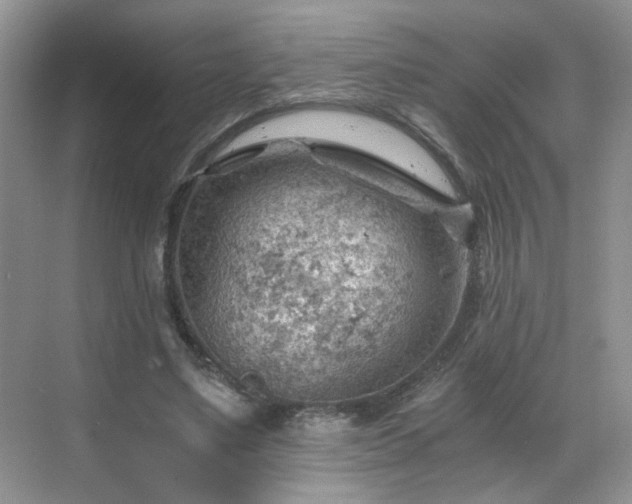 X0000068830491200605081217