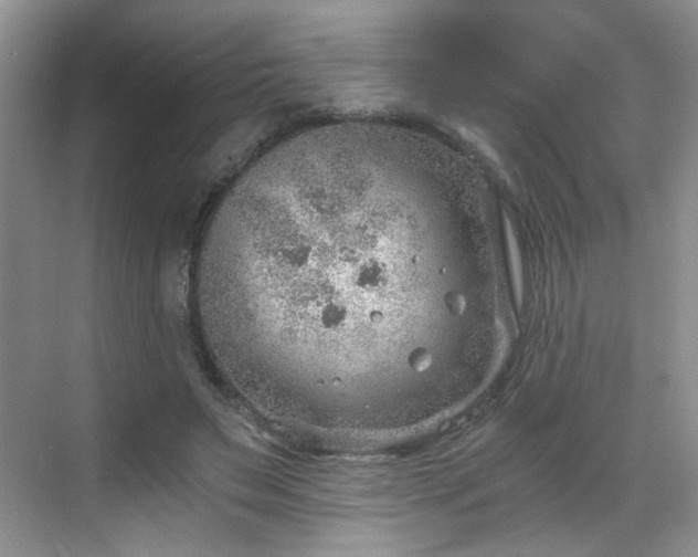 X0000068830495200605081217