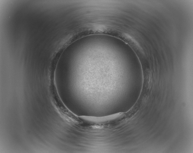 X0000068830496200605081217