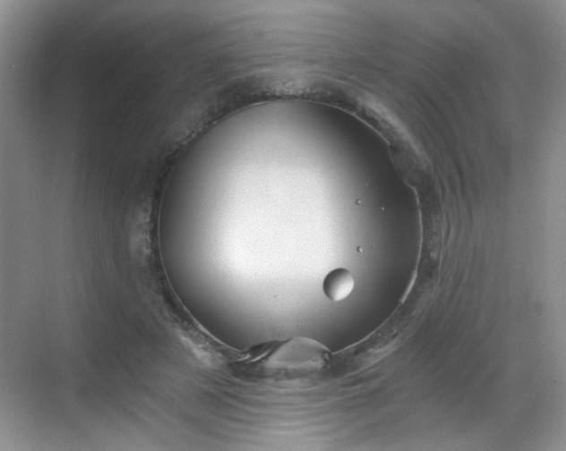 X0000068830497200605081217