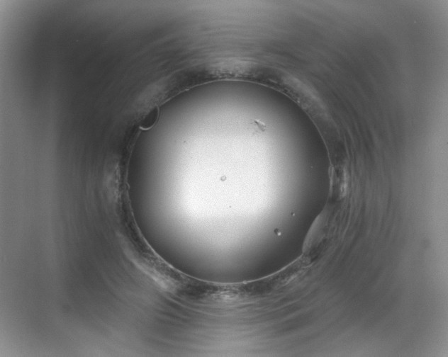 X0000068830498200605081217