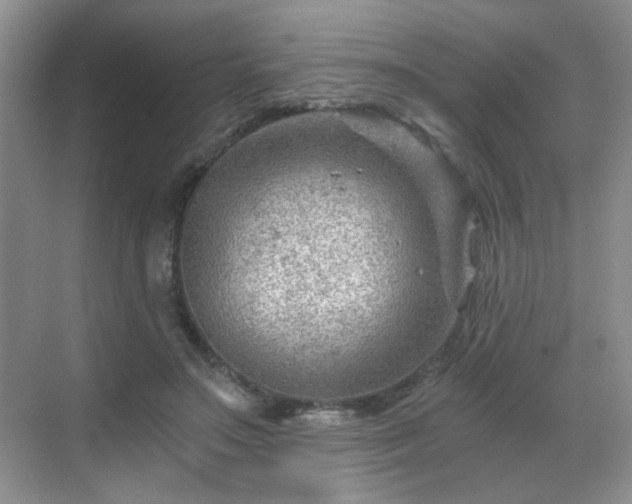 X0000068830499200605081217