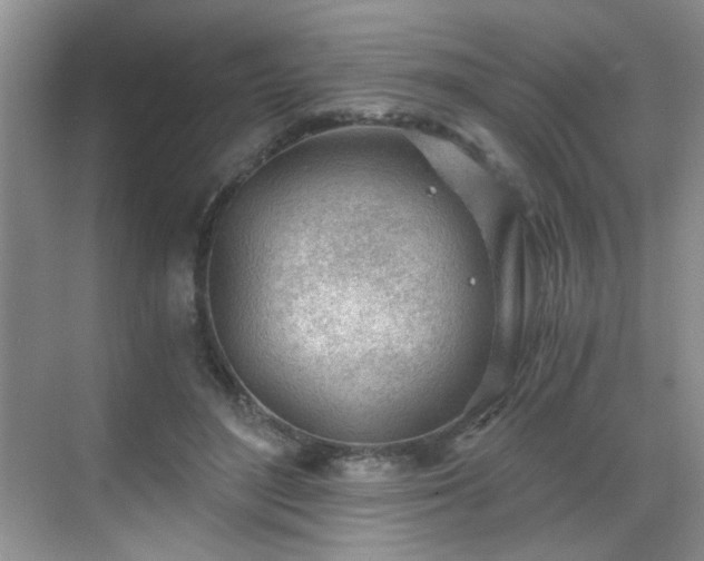 X0000068830500200605081217