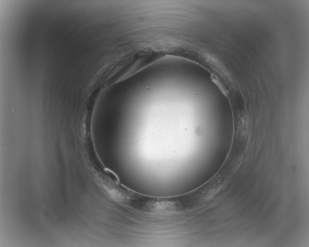 X0000068830501200605081217