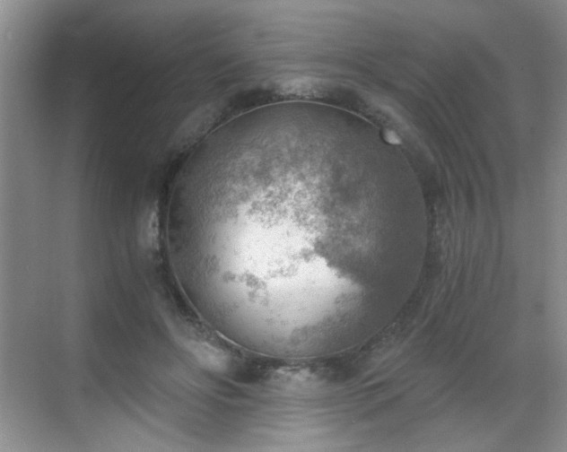 X0000068830502200605081217