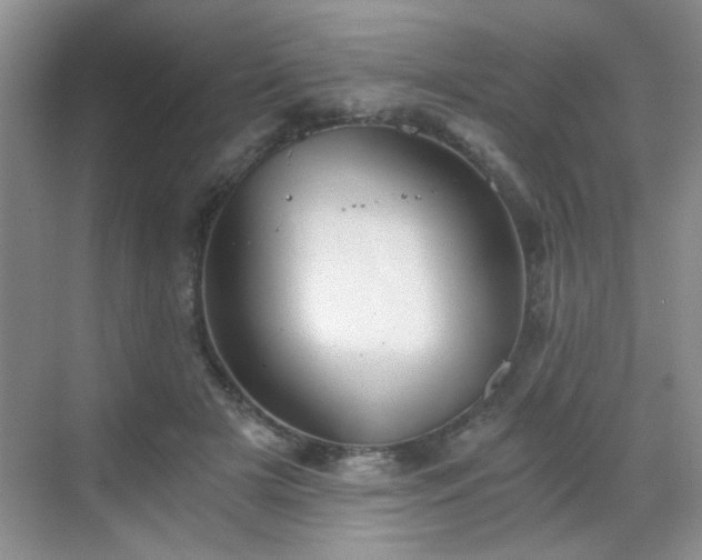 X0000068830505200605081217